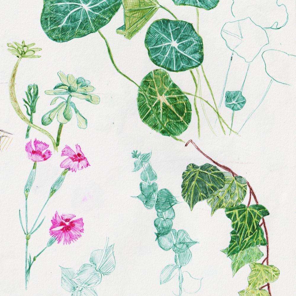 Jardin - 2021